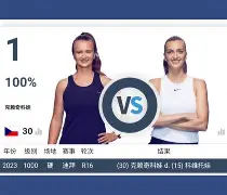  科维托娃宣布怀孕喜讯 